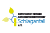 Logo von Bayerischer Verband Schlaganfallbetroffener e V