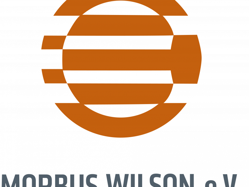 Logo Morbus Wilson